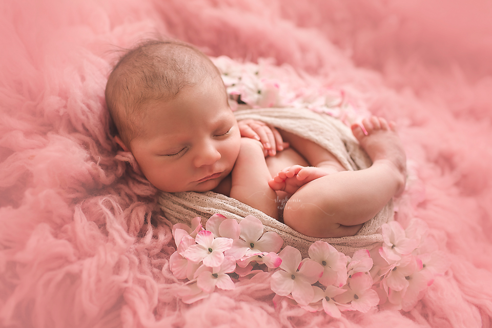 st-louis-newborn-photographer-8